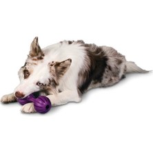 Pet Safe Petsafe Busy Buddy Waggle Salla Ye Oyuncak M/l Bb-Wag-Ml-11