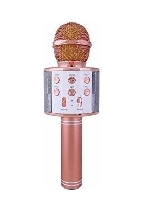Wster WS-858 Karaoke Mikrofon Bluetooth USB Aux Sd Kart Giriş Hoparlör