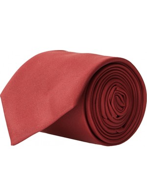 Altınyıldız Classics Erkek Bordo Bordo Nano Kravat