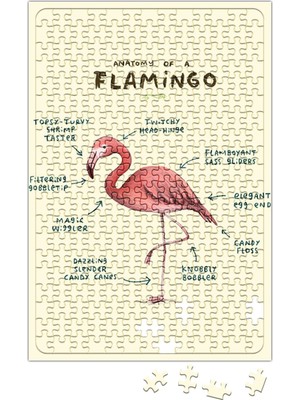 Baskı Dükkanı Bir Flamingo Anatomisi Puzzle 240 Parça Yapboz