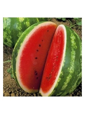 Köy Tohumları 20 Adet Tohum Karpuz Tohumu Crimson Sweet Sürpriz Hediye Tohum