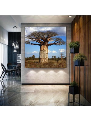 SML Tablo Bulutlar Altındaki Yaşlı Ağaç Manzara Doğa Kanvas Tablo