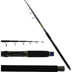 EuroFish Carnellian Muscle 400 cm 100-200 gr TeleCarbon Surf Olta Kamışı