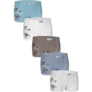 Erkek Çocuk Örümcek  Desenli  Boxer 5'li Paket Karışık Renk Baskılı Boxer BYO2494