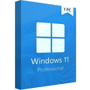 Windows 11 Pro 64 Bit Oem DVD Kutu FQC-10556