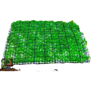 Akvaryum Bitkileri Atakan Petshop Weeping Moss Tele Sarılı 5X5cm Yeni Sarım Canlı Bitki