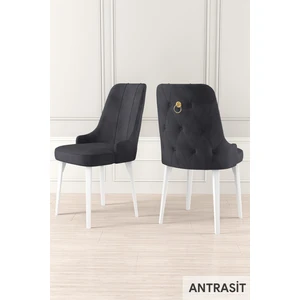 Concept Canisa Enoa Serisi Babyface Kumaş/beyaz Gürgen Ayaklı Sandalye