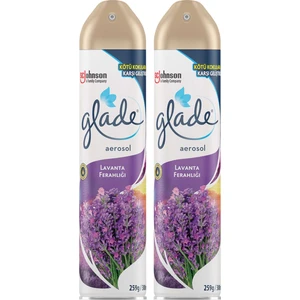 Aerosol Oda Kokusu Lavanta Ferahlığı 300 ml 2'li