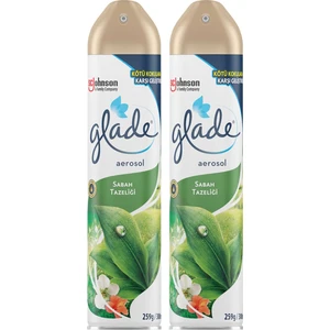 Hava Tazeleyici Aerosol Oda Kokusu Sabah Tazeliği 300 ml 2'li