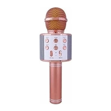 Wster WS-858  Karaoke Mikrofon Bluetooth USB Aux Sd Kart Giriş