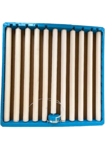 360 Derece Dönen Yumurta Viyolü