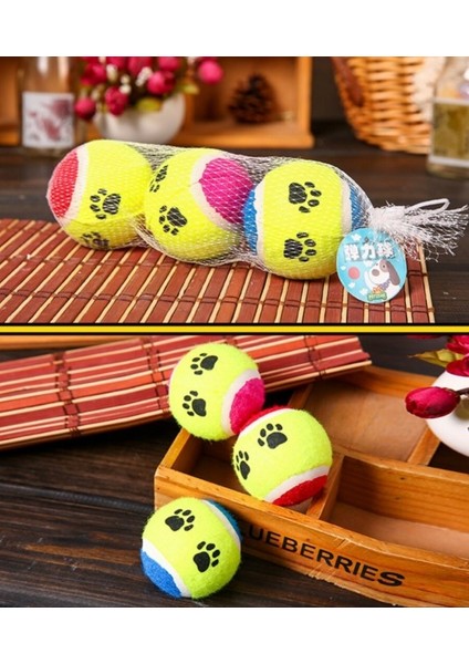 Evcil Hayvan Eğitim Topu 3 Lü Set fırsatları