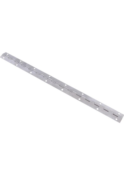 15" x 1" Inç Deniz Kaba Donanım Tekne Güverte Kapı Piyano Menteşe (Yurt Dışından)