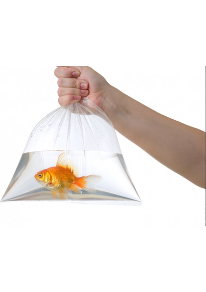 Şeffaf Bakkaliye Torbası 2 kg'lık İkilik Naylon Torba 1 kg