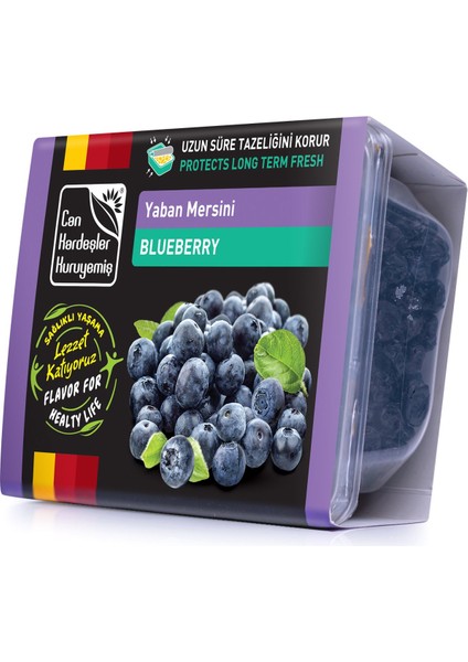 Yaban Mersini ( Blueberry ) 300 G Pkt