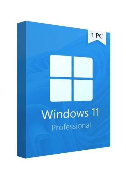 Windows 11 Pro 64 Bit Oem DVD Kutu FQC-10556