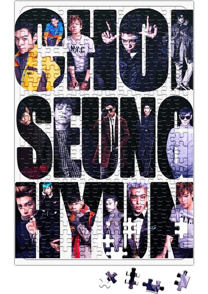 Choi Seung Hyun Puzzle 240 Parça Yapboz