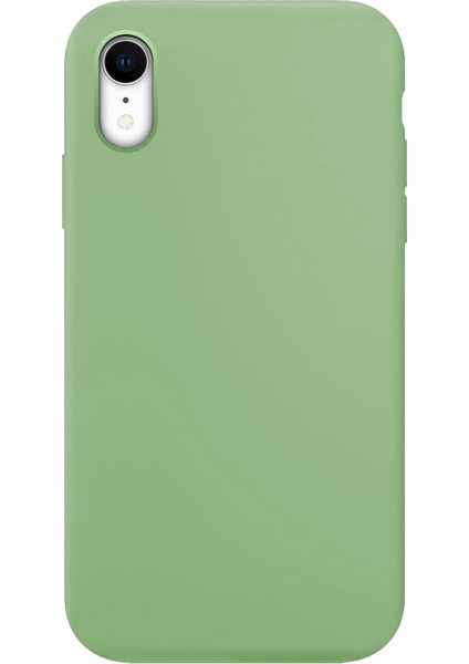 Eco Sense iPhone Xr Yeşil Kapak
