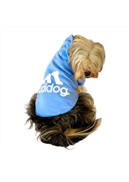 Bebek Mavisi Duo Adidog Kapşonlu Köpek Sweatshirt Köpek Kazağı