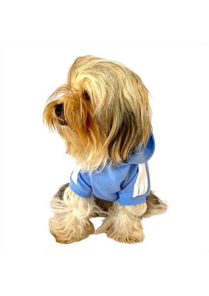Bebek Mavisi Duo Adidog Kapşonlu Köpek Sweatshirt Köpek Kazağı