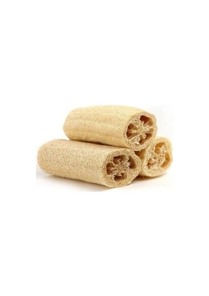 20 Adet Tohum Eko Paket Lif Kabak Tohumu Kabak Tohumu Lif Kabağı Tohumu Sürpriz Hediye Tohum
