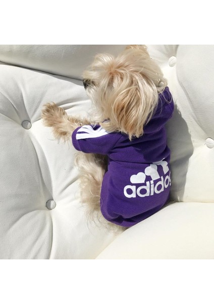 Mor Sporty Duo Adidog Sweatshirt Xl indirimleri