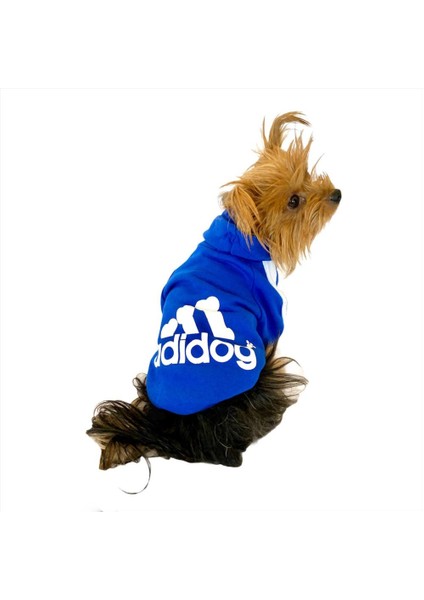 Saks Mavi Adidog Kapşonlu Duo Köpek Sweatshirt Köpek Kazağı S modelleri