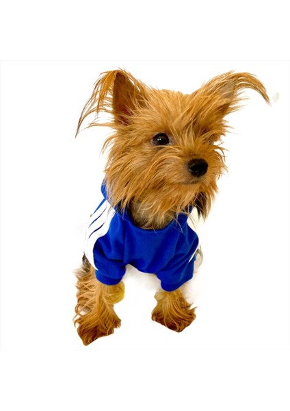 Saks Mavi Adidog Kapşonlu Duo Köpek Sweatshirt Köpek Kazağı Xl fırsatları