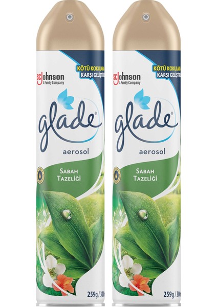 Hava Tazeleyici Aerosol Oda Kokusu Sabah Tazeliği 300 ml 2'li