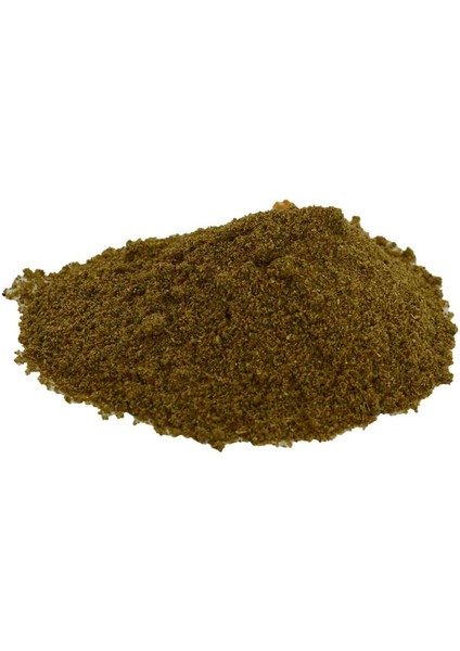 Garam Masala Baharat Karışımı 100 gr Paket