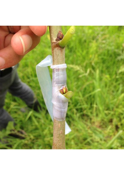 250 gr Blue Guard Aşı Macunu ve Aşı Bandı 2'li Paket modelleri