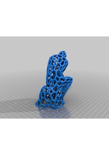 Düşünür Voronoi Plastik Aparat