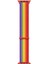 Apple Watch Uyumlu Series 7 45MM Hasırlı Kordon Woven Sport Loop Pride Edition 1