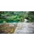 Nikon D5500 D5600 18-55mm Lens Için 55mm Xs-Pro Slim Cpl Polarize + Slim Nd8 3 Stop Nd Filtre 3