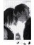 Tokyo Ghoul Love Puzzle 240 Parça Yapboz 1