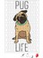 Pug Life Köpek 02 Puzzle 240 Parça Yapboz 1