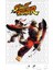 Street Fighter Puzzle 240 Parça Yapboz 1