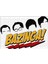 Big Bang Sheldon Cooper Theory Bazingaa Puzzle 1