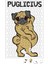 Puglicius Köpek Puzzle 240 Parça Yapboz 1