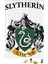 Slytherin Puzzle 240 Parça Yapboz 1