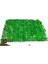 Atakan Petshop Weeping Moss Tele Sarılı 5X5cm Yeni Sarım Canlı Bitki 1
