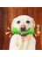 Köpek Çığneme Oyuncağı (Yurt Dışından) 5