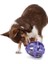 Petsafe Busy Buddy Atıştırmalık Topum M/l Bb-Kıb-Nıb-Ml-11 2