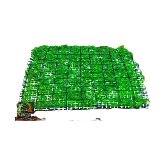 Akvaryum Bitkileri Atakan Petshop Weeping Moss Tele Sarılı 5X5cm Yeni Sarım Canlı Bitki