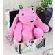  Renk Pembe