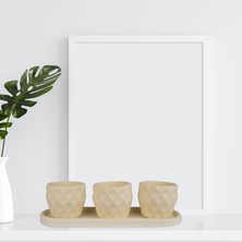 Echo Pot Eti Serisi Sumru Limon Sarısı 3 Lü Saksı Seti