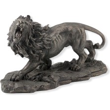 Rakun Home Wise Aslan Biblo