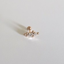 Bylin Cerrahi Çelik Vintage Fantazi Piercing Gül Altın Rengi