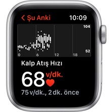 Apple Watch Se Gps, 44MM Gümüş Rengi Alüminyum Kasa ve Mavi Spor Kordon MKQ43TU/A