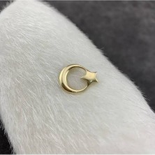 Gökdeniz 925 Ay Yıldız Model 925 Ayar Gümüş Erkek Yaka Iğnesi